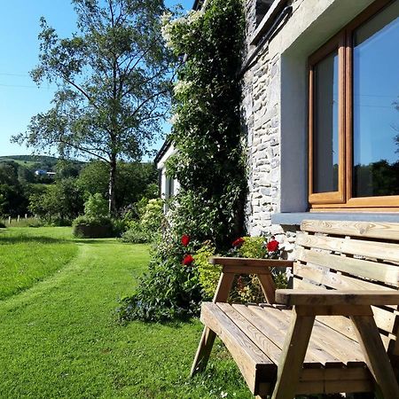 Nant Yr Onnen B&B And Holiday Cottage Tregaron Екстер'єр фото