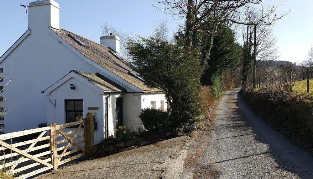 Nant Yr Onnen B&B And Holiday Cottage Tregaron Екстер'єр фото
