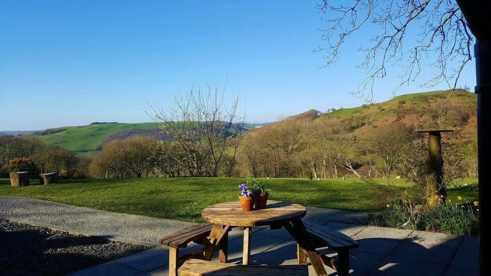Nant Yr Onnen B&B And Holiday Cottage Tregaron Екстер'єр фото