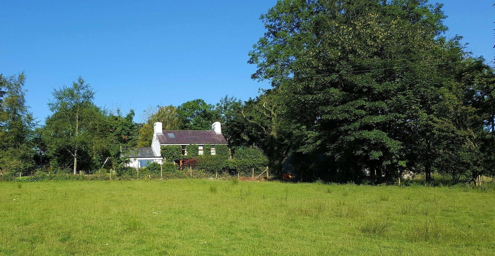 Nant Yr Onnen B&B And Holiday Cottage Tregaron Екстер'єр фото
