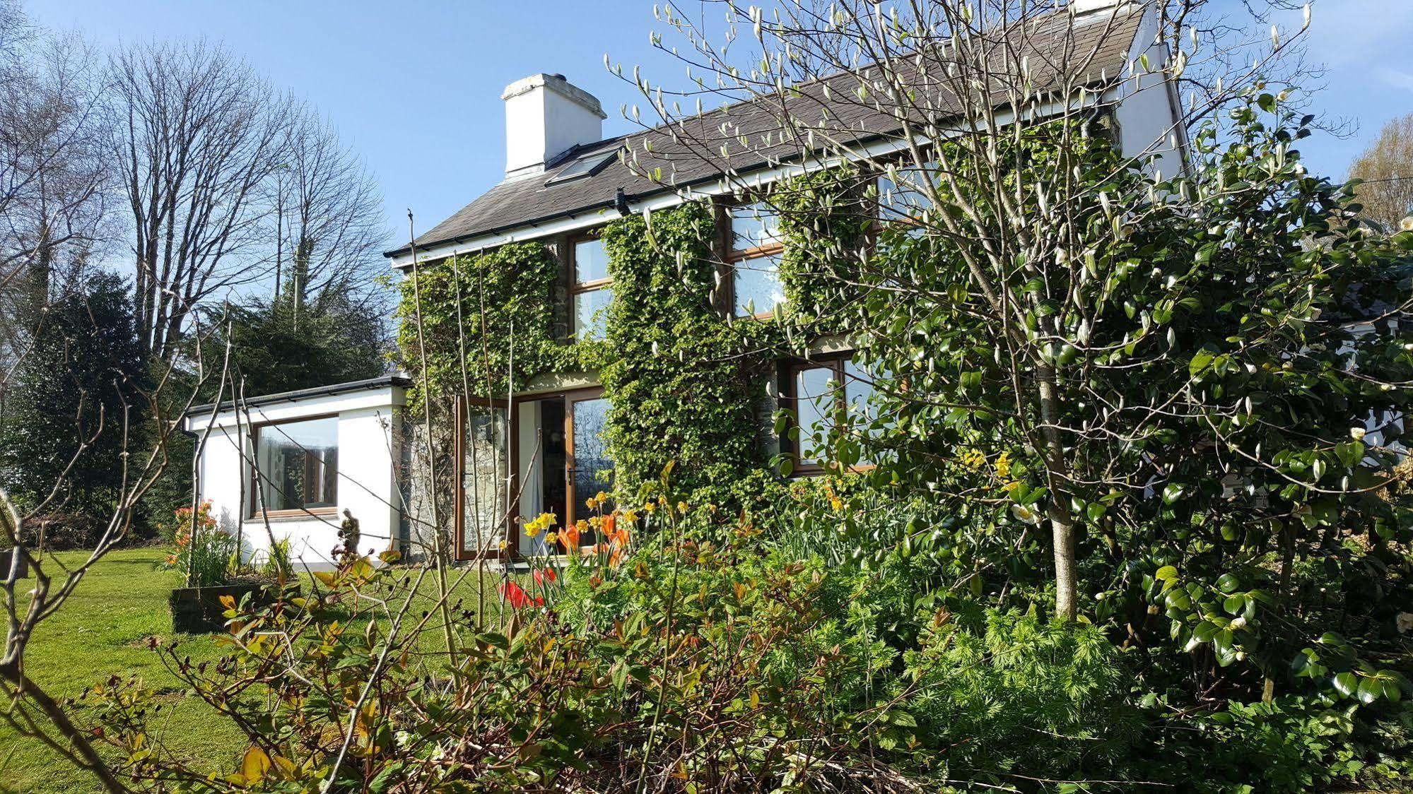 Nant Yr Onnen B&B And Holiday Cottage Tregaron Екстер'єр фото