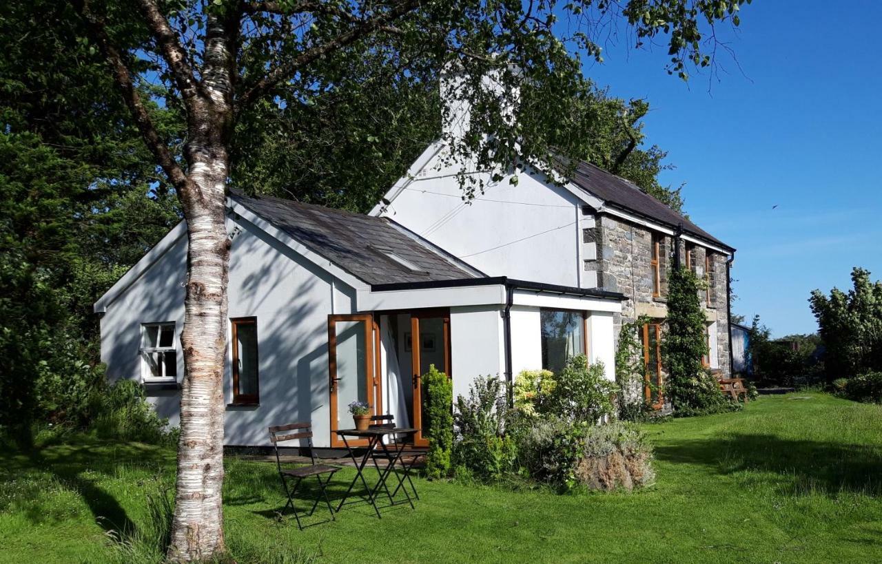 Nant Yr Onnen B&B And Holiday Cottage Tregaron Екстер'єр фото
