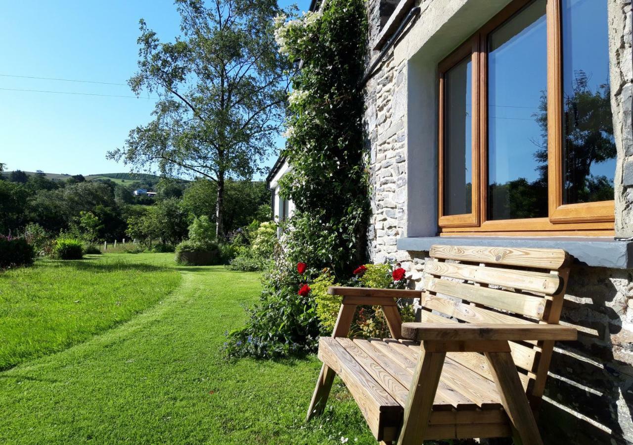 Nant Yr Onnen B&B And Holiday Cottage Tregaron Екстер'єр фото